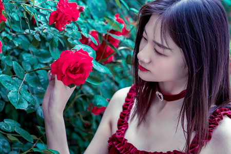 江苏丰县：文明新风润乡野 和美生态入画来